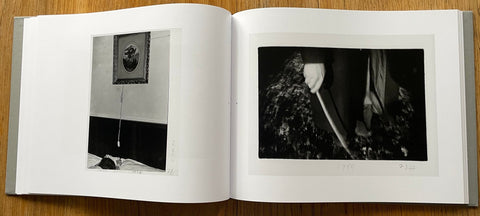 Di Sguincio, 1969 - 81 - Setanta Books