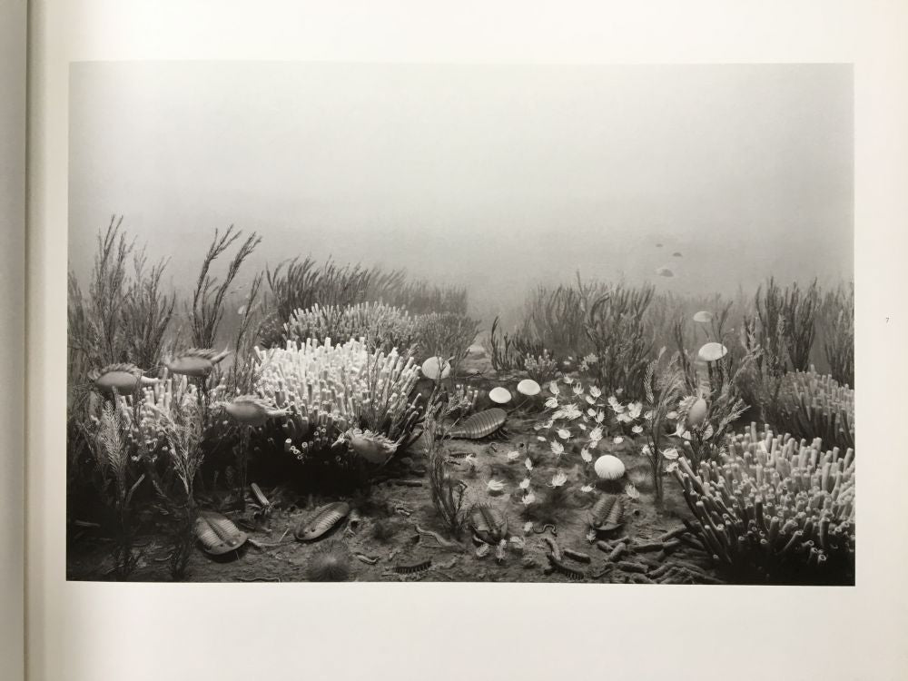 Dioramas by Hiroshi Sugimoto | Photography | Setanta Books