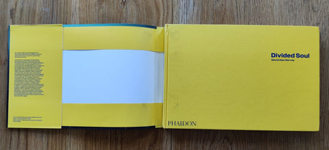 Divided Soul - Setanta Books