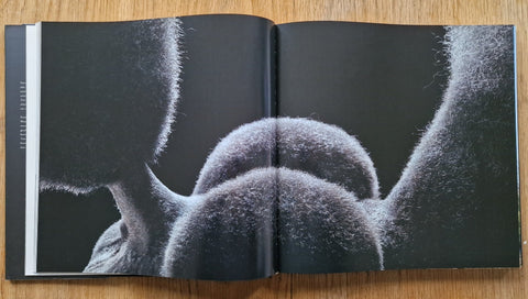 Dogs / Gods - Setanta Books