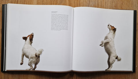 Dogs / Gods - Setanta Books