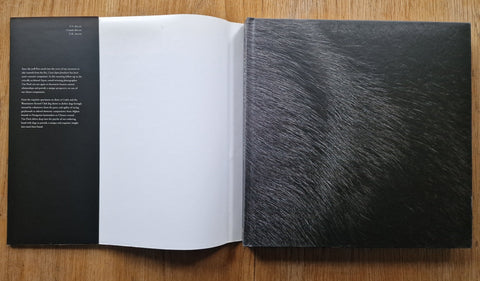Dogs / Gods - Setanta Books