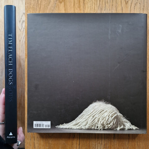 Dogs / Gods - Setanta Books