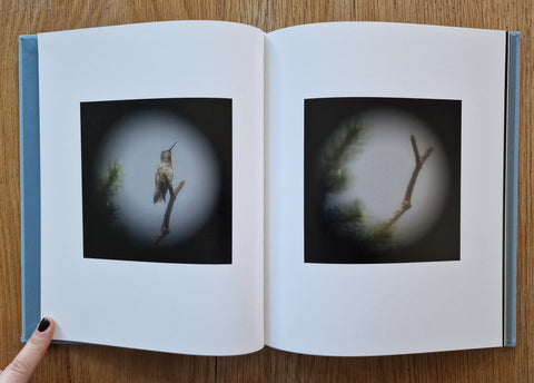 Dreams of Birds - Setanta Books