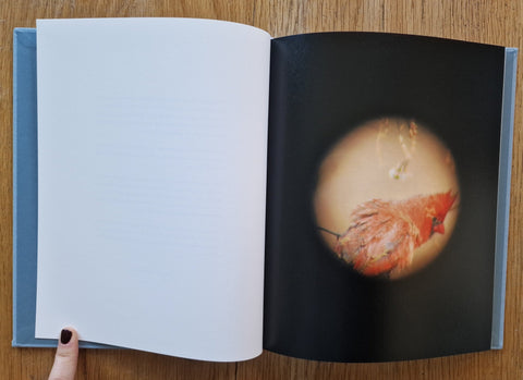 Dreams of Birds - Setanta Books