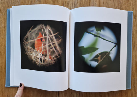 Dreams of Birds - Setanta Books