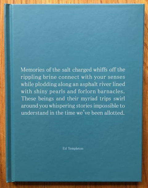 Memories of the Salt Charged Whiffs (One Picture Book)