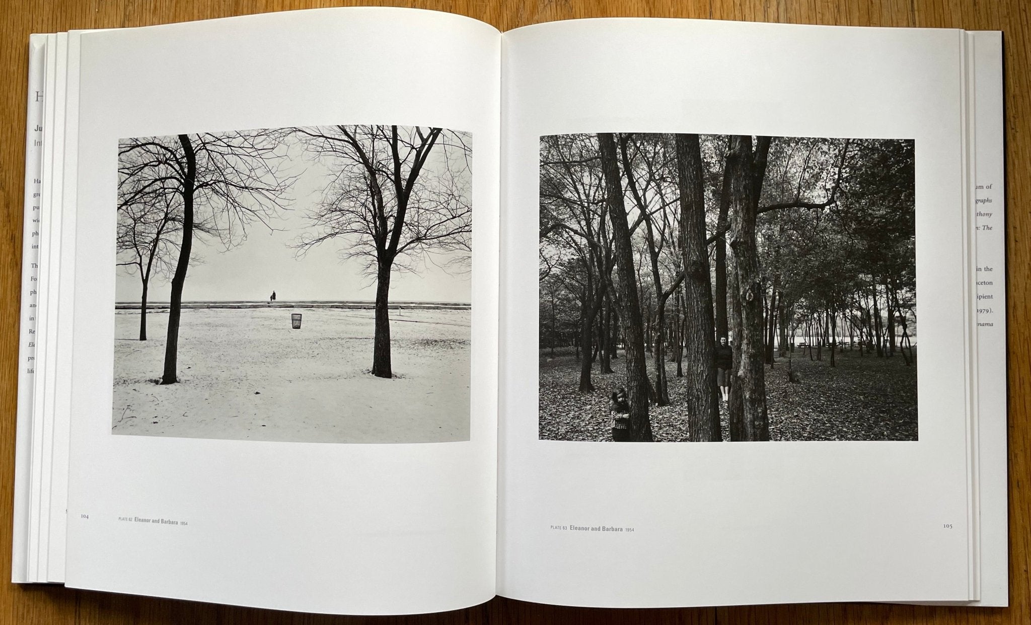 Buy Eleanor photography book by Harry Callahan – Setanta Books