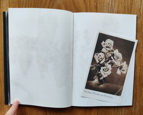 Erna Helena Ania - Setanta Books