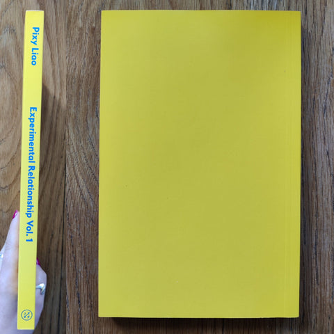 Experimental Relationship (1st) - Setanta Books