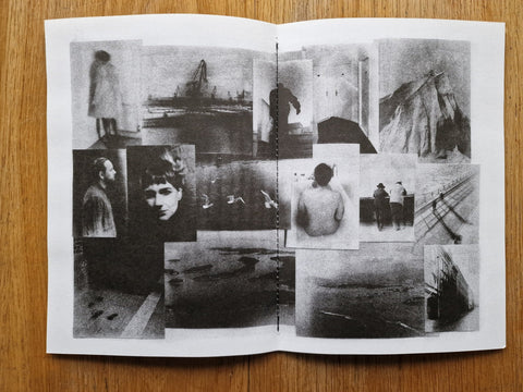Faglarna (l’Atelier RisoGraphique) - Setanta Books