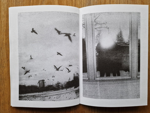 Faglarna (l’Atelier RisoGraphique) - Setanta Books
