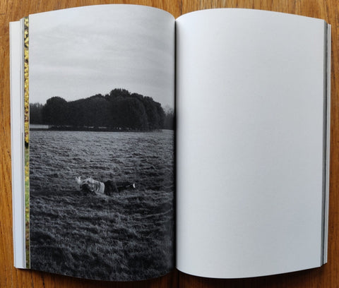 Falling - Setanta Books