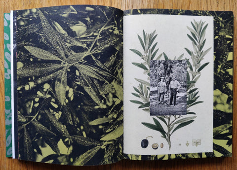 Fastidiosa - Setanta Books