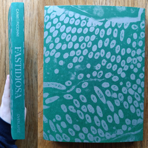 Fastidiosa - Setanta Books