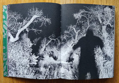 Fastidiosa - Setanta Books