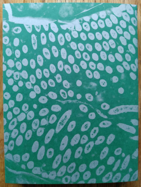 Fastidiosa - Setanta Books