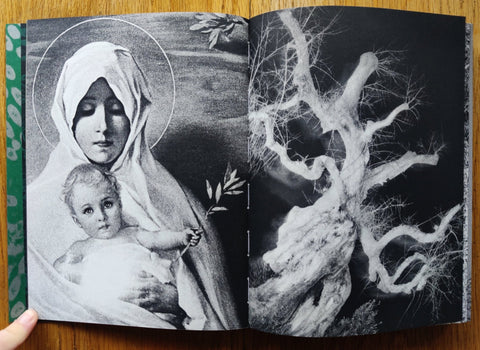 Fastidiosa - Setanta Books