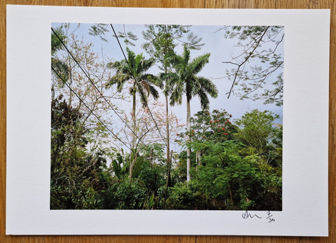 From A Small Island (Special Edition With A Signed Print) - Setanta Books