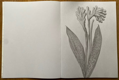 Garden - Setanta Books