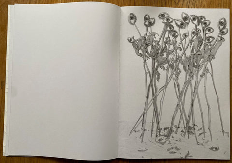 Garden - Setanta Books