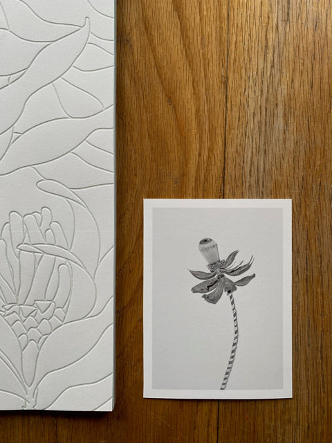 Garden - Setanta Books