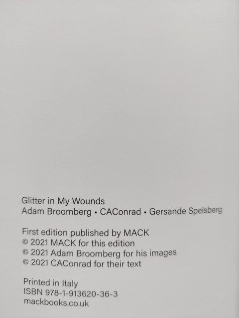 Glitter in My Wounds - Setanta Books
