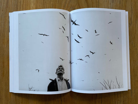 Graciela Iturbide on Dreams, Symbols, and Imagination - Setanta Books