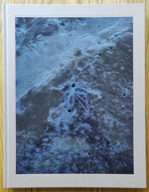 The photography book cover of Murder by Guillaume Simoneau. Hardback with cover image of a bluey stone floor.