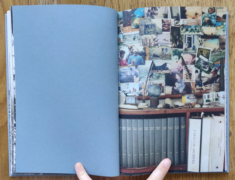 Gull Juju - Setanta Books
