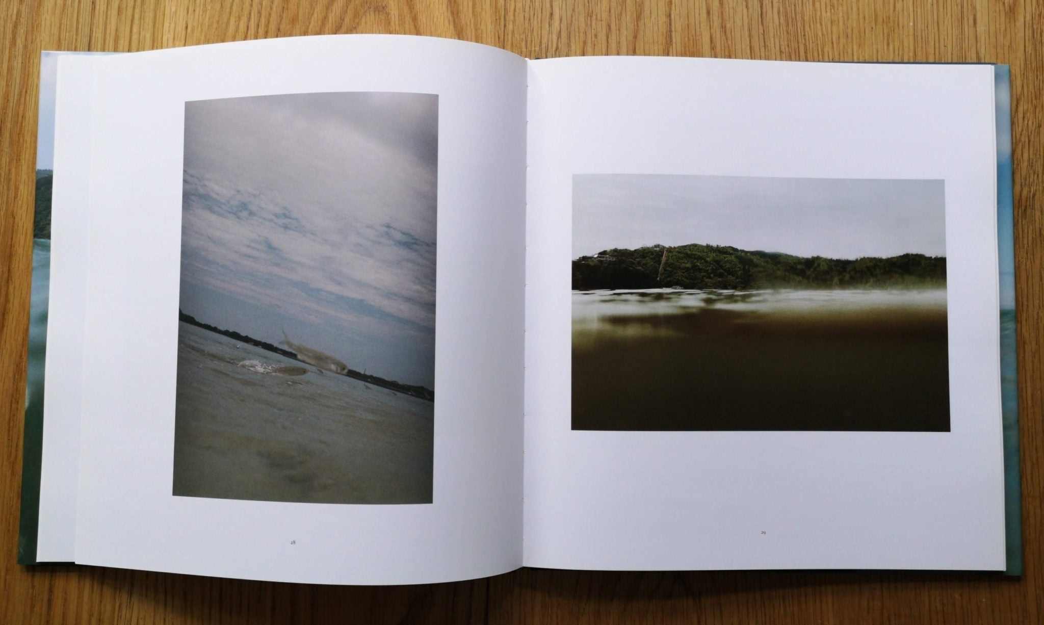Buy Half Awake and Half Asleep in the Water by Asako Narahashi