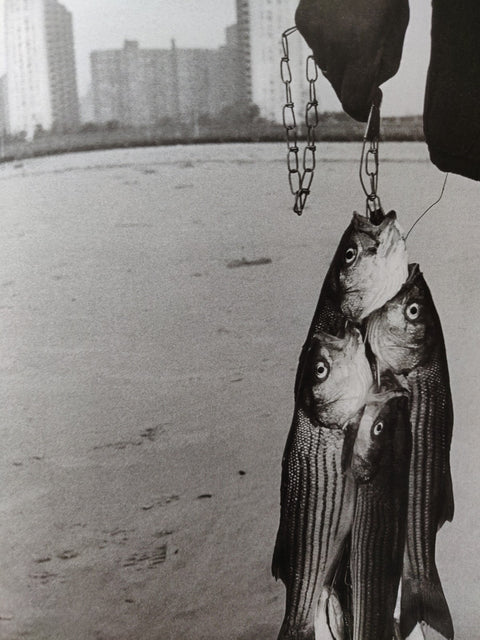 Happy / Brooklyn 1988 - 93
