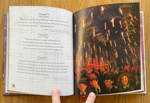 Harry Potter: A Magical Year - Setanta Books