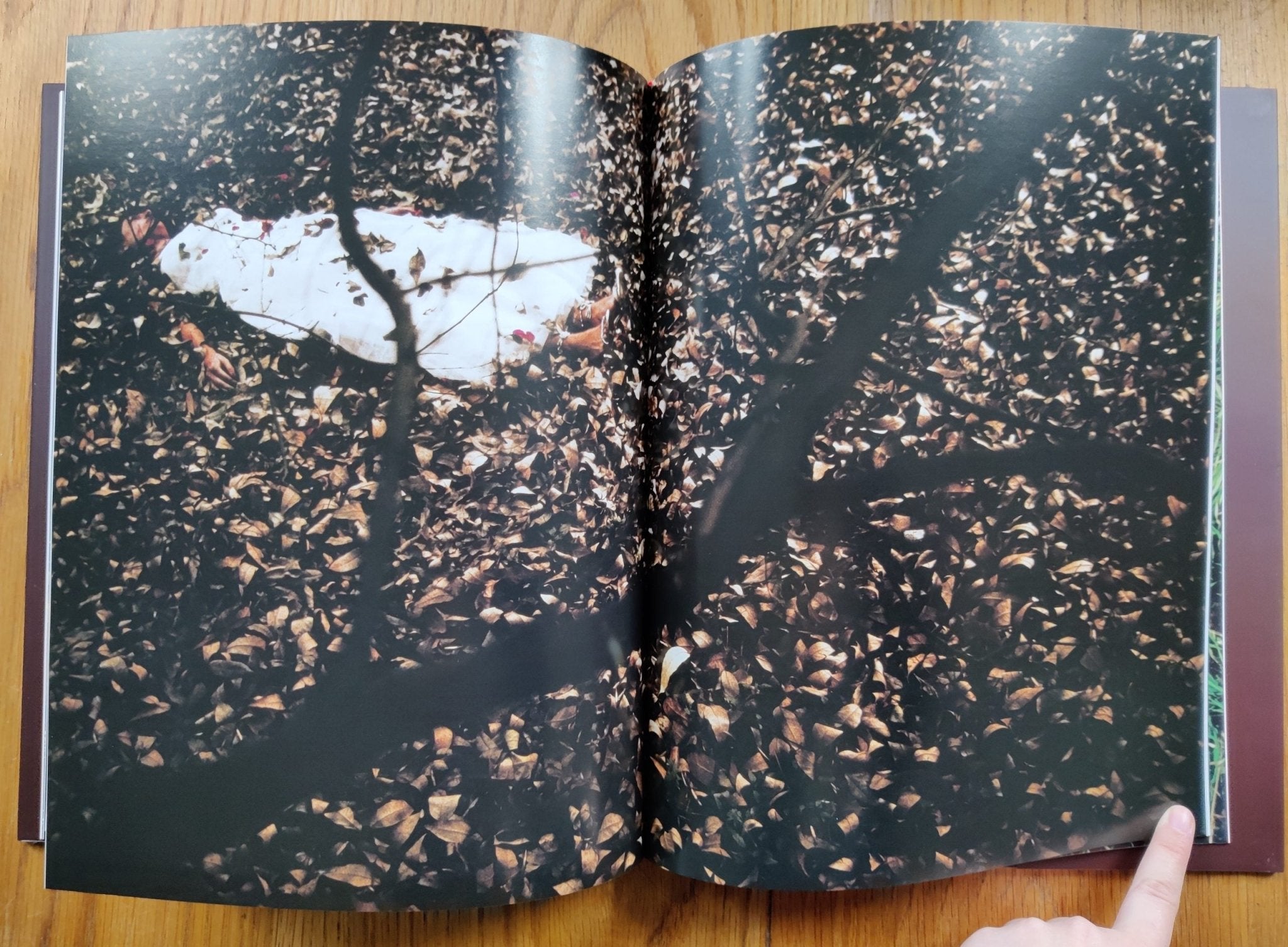 Buy High Fashion Crime Scenes special edition with print clamshell