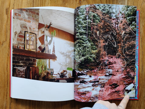 HOT DAMN! - Setanta Books
