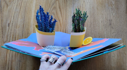 Houseplants - Setanta Books