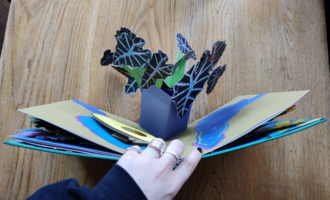 Houseplants - Setanta Books