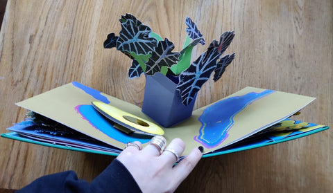 Houseplants - Setanta Books