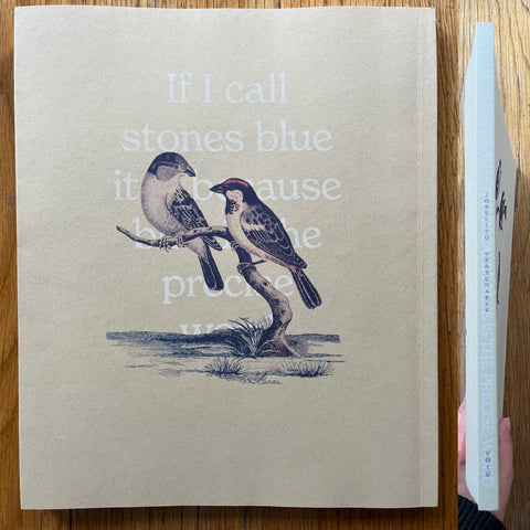 If I call Stones Blue, It Is Because Blue Is the Precise Word - Setanta Books