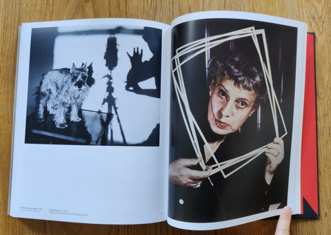 Ilse Bing - Setanta Books