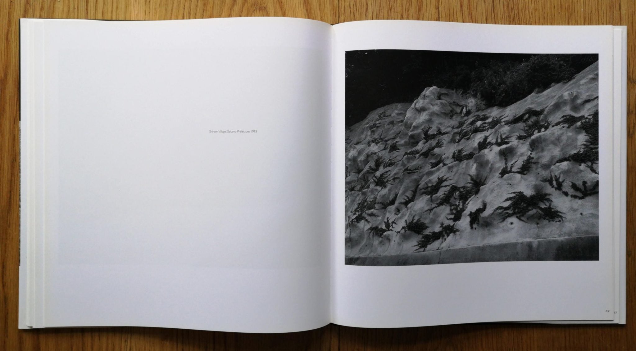 Buy Landscape by Toshio Shibata book online book store