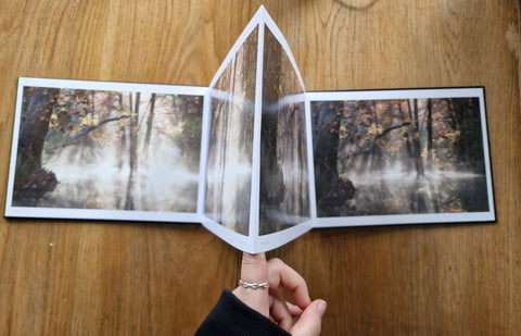 Images, Panoramas, Sequences - Setanta Books