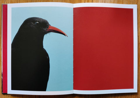 Instincts. Same But Different - Setanta Books