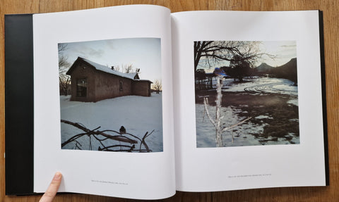 Jean Luc Mylayne - Setanta Books