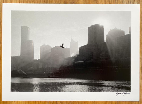 The print from photography book Second City by Jesse Marlow. Hardback book in yellow. Print of a bird flying over a river. Signed.