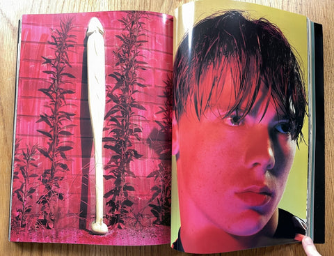 Joe's Second Issue - Setanta Books