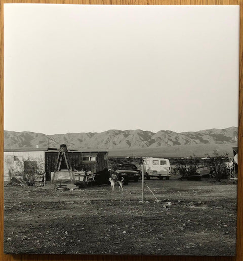 Dogs Chasing My Car in the Desert