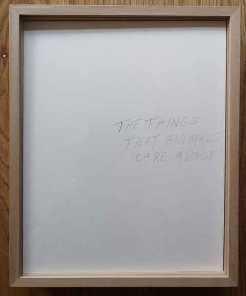 The Things That Animals Care About, And
