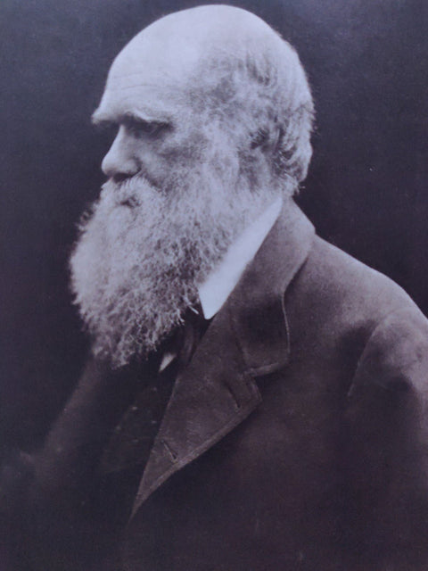 Julia Margaret Cameron
