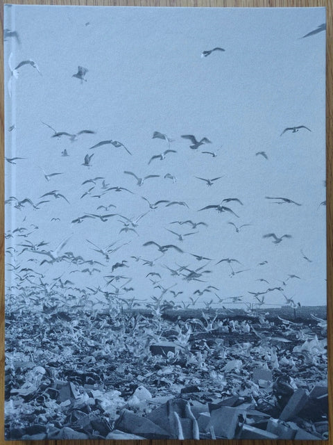 The photography book cover of Benny Profane by Ken Grant. Hardback in B&W with cover image of hundreds of flying birds.